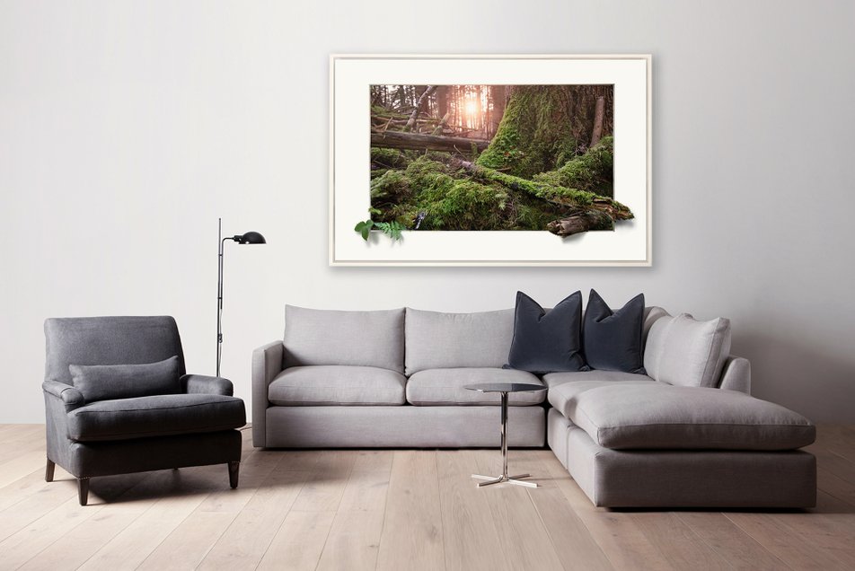Tavla "Forest", granskog på Omberg. Tavla över soffan med naturmotiv.
